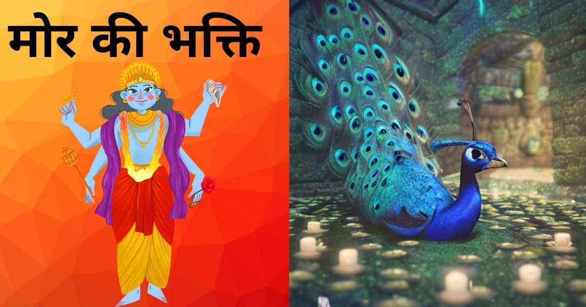 mor-ki-bhakti-dharmik-kahani