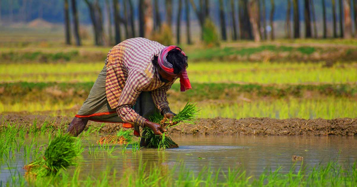 A-Farmer-Farming-in-the-Farm-he-wear-Shirt-and-Dhoti-Garib-Kisan-Ki-Kahani-He-stand-kathaamrit