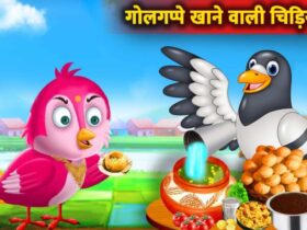 Bird Funny Story